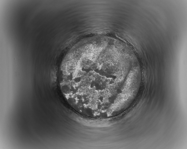 X0000095950032200802081306