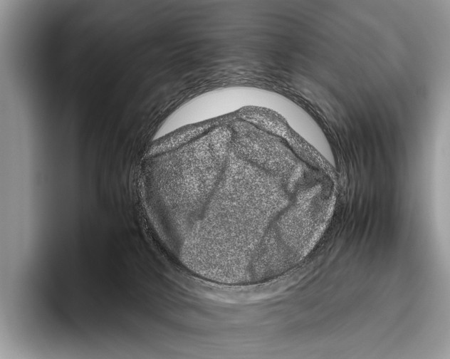 X0000095950034200802081306