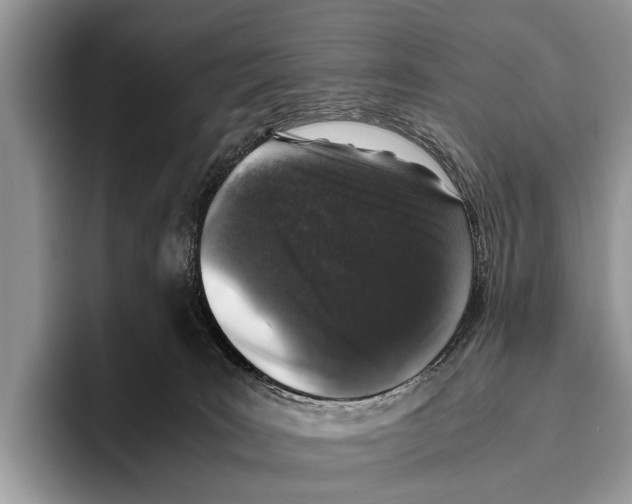 X0000095950035200802081306