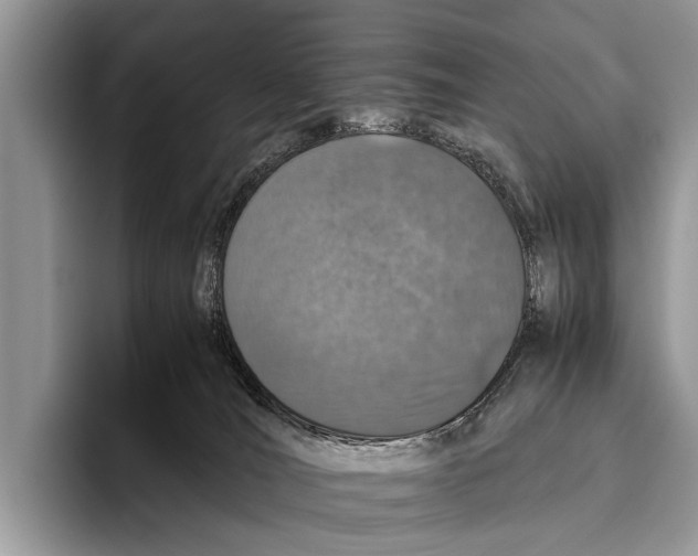 X0000095950036200802081306