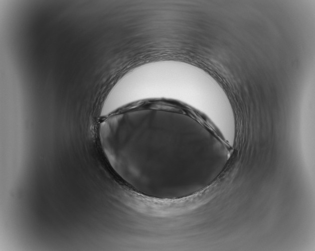 X0000095950039200802081306