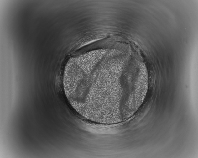 X0000095950040200802081306