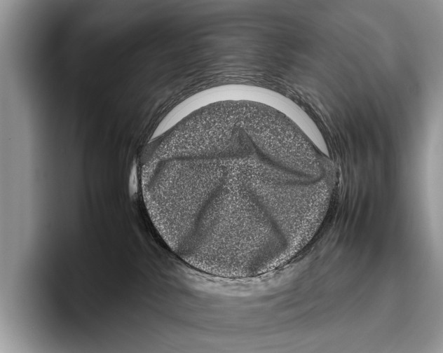 X0000095950042200802081306