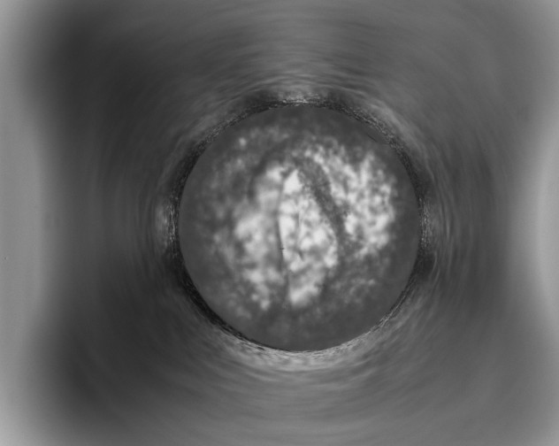 X0000095950043200802081306