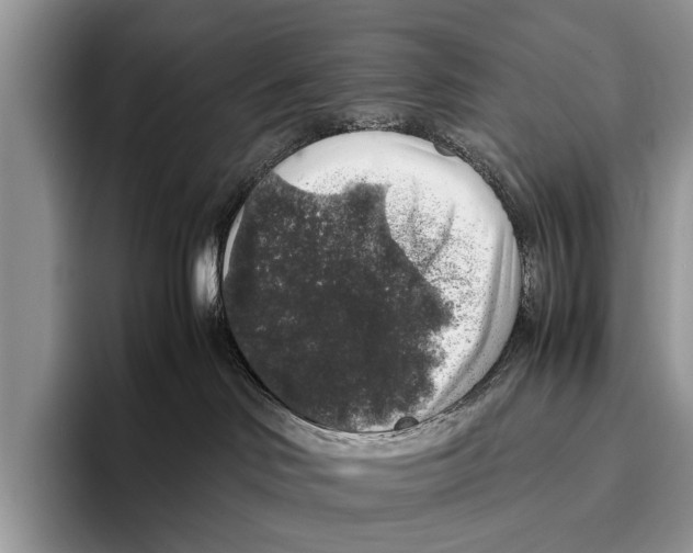 X0000095950046200802081306