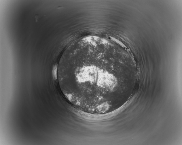 X0000095950047200802081306