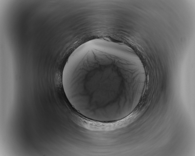 X0000095950048200802081306