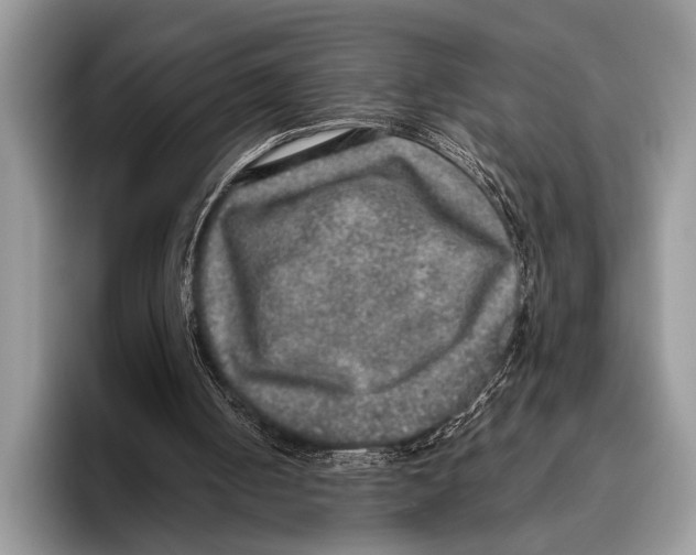 X0000095950050200802081305