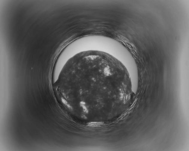 X0000095950051200802081305