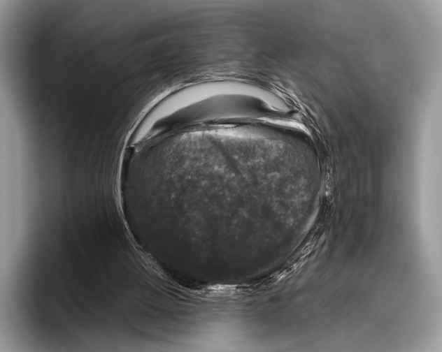 X0000095950052200802081305