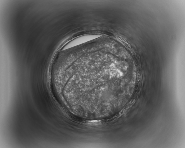 X0000095950053200802081305