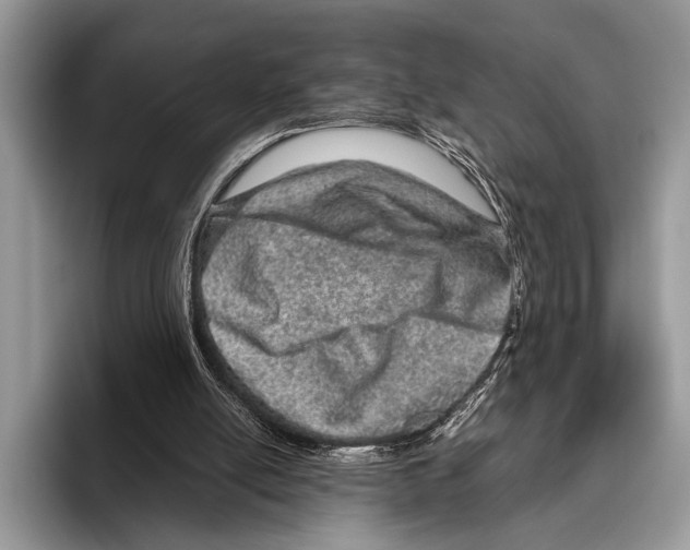 X0000095950054200802081305