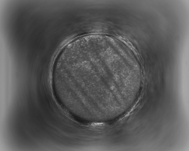 X0000095950055200802081305