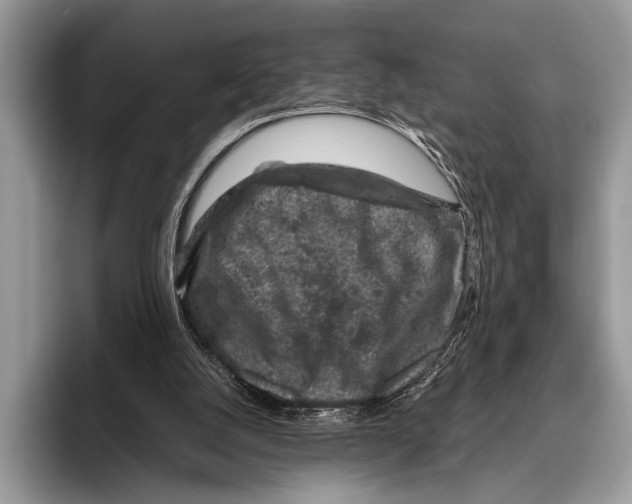 X0000095950056200802081305