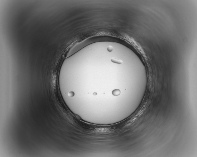 X0000095950057200802081305