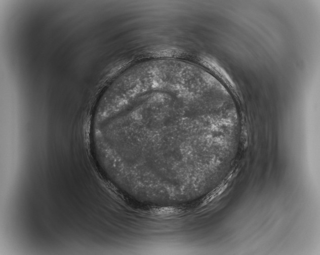 X0000095950058200802081305