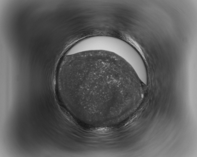 X0000095950059200802081305