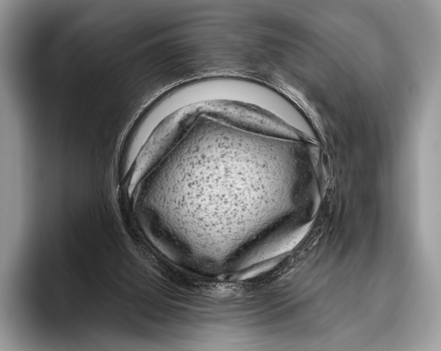 X0000095950060200802081305