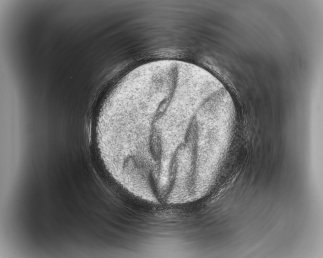 X0000095950062200802081305