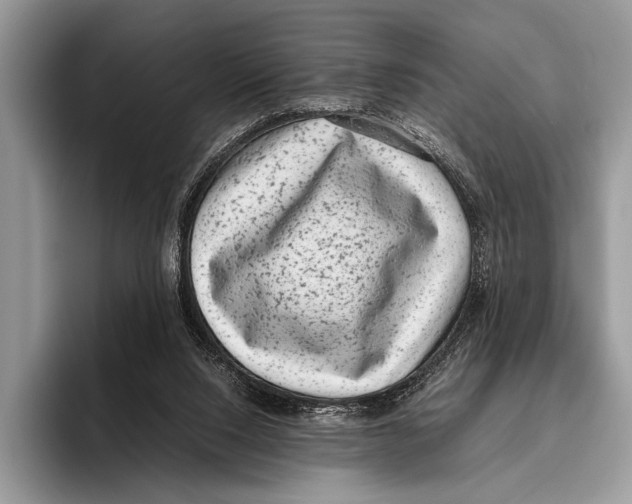 X0000095950064200802081305