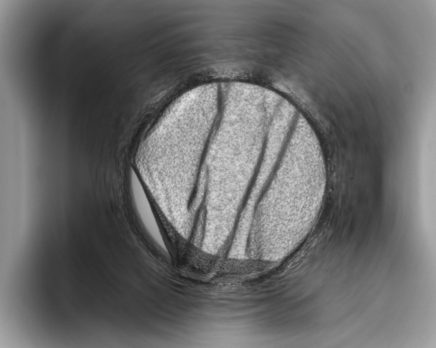 X0000095950066200802081306