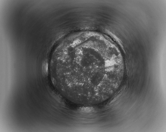 X0000095950067200802081306