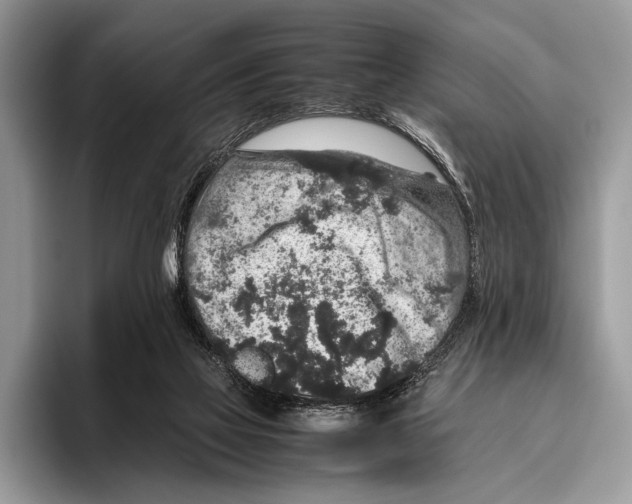 X0000095950069200802081306