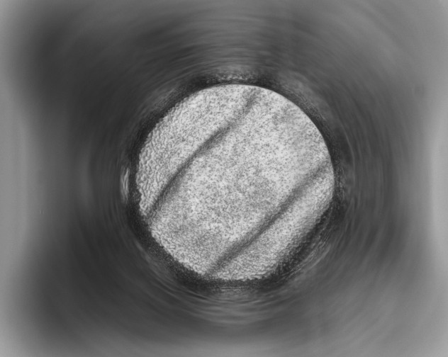 X0000095950070200802081306