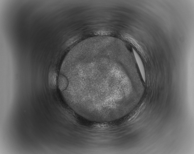 X0000095950071200802081306