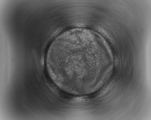 X0000095950072200802081306