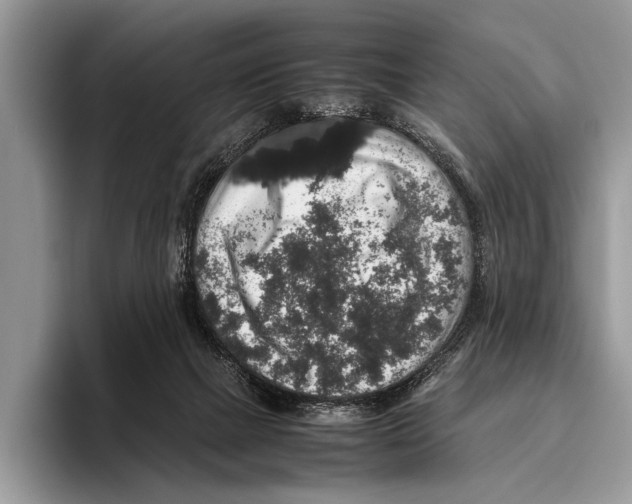 X0000095950073200802081306