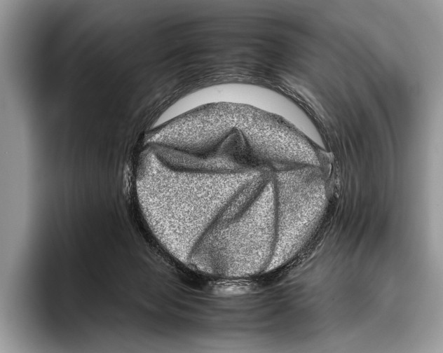 X0000095950077200802081306