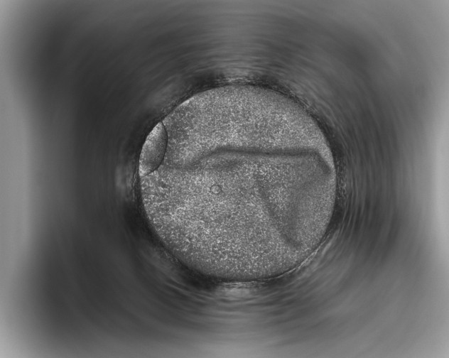 X0000095950082200802081306