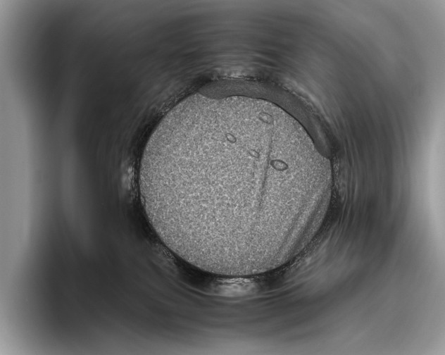 X0000095950087200802081306