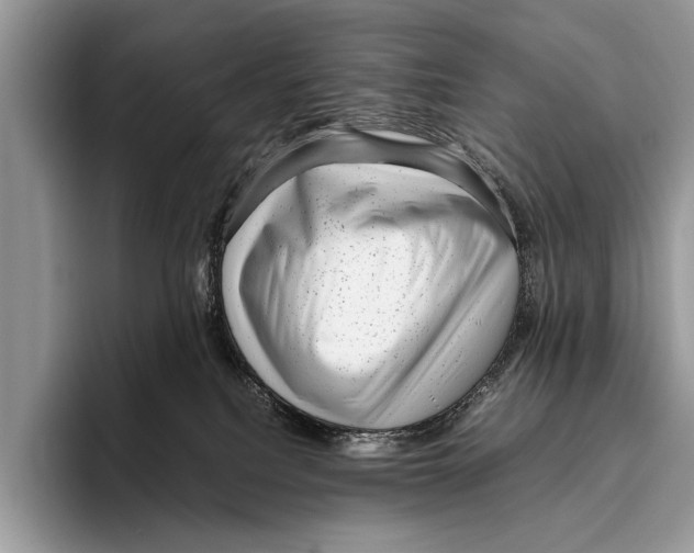 X0000095950088200802081306