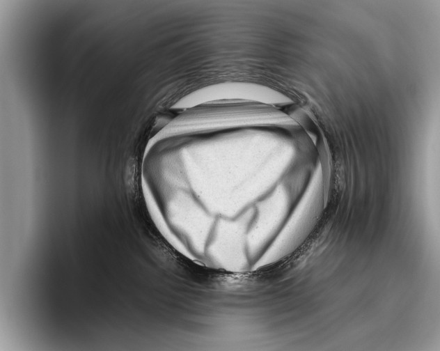 X0000095950092200802081306