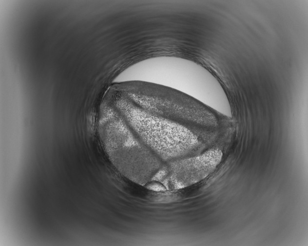 X0000095950093200802081306