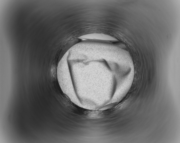 X0000095950096200802081306