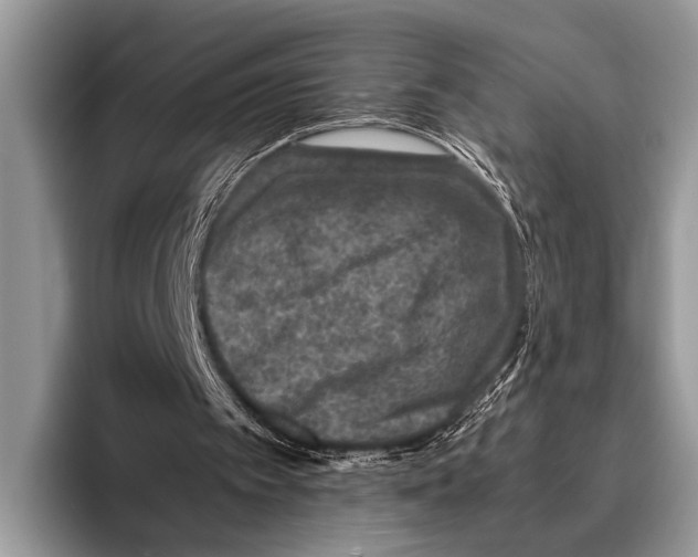 X0000095950097200802081305