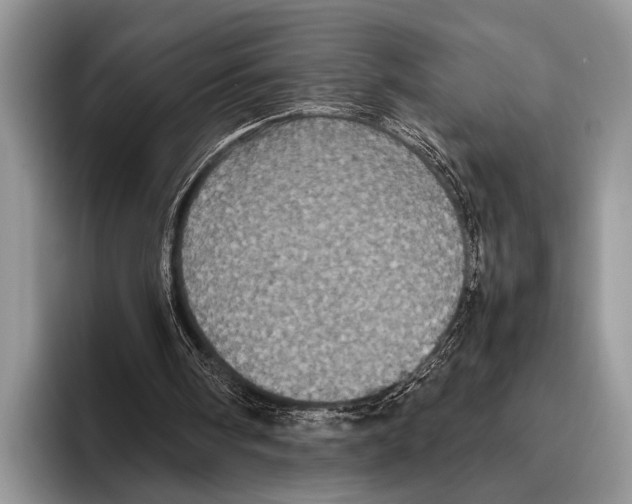 X0000095950098200802081305