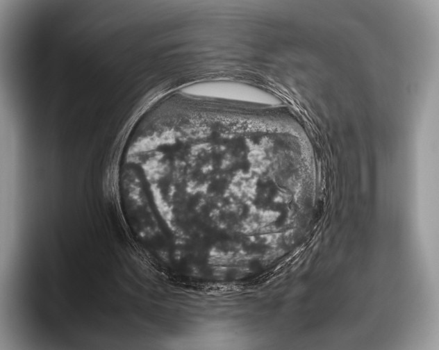 X0000095950099200802081305