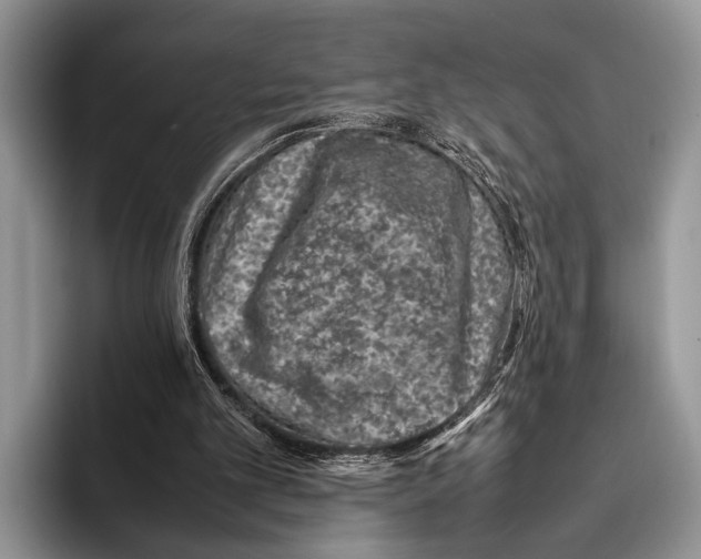 X0000095950101200802081305