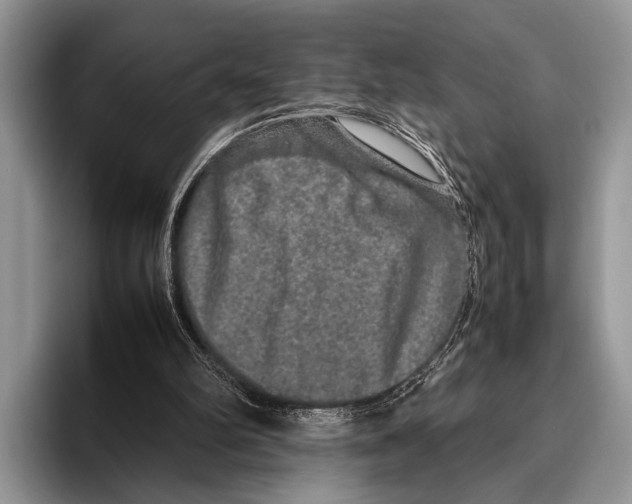 X0000095950102200802081305