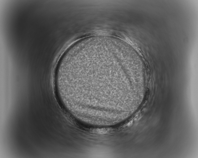 X0000095950103200802081305