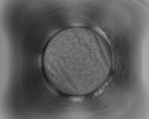 X0000095950106200802081305