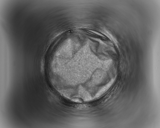 X0000095950107200802081305