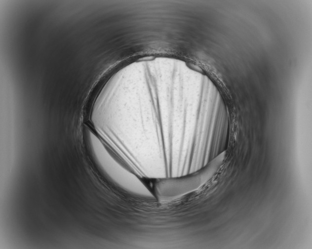 X0000095950108200802081305