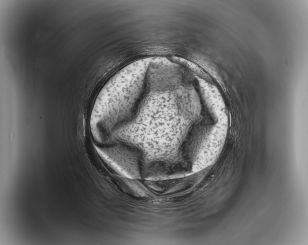 X0000095950109200802081305