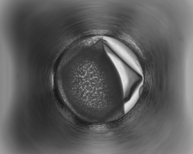 X0000095950110200802081305