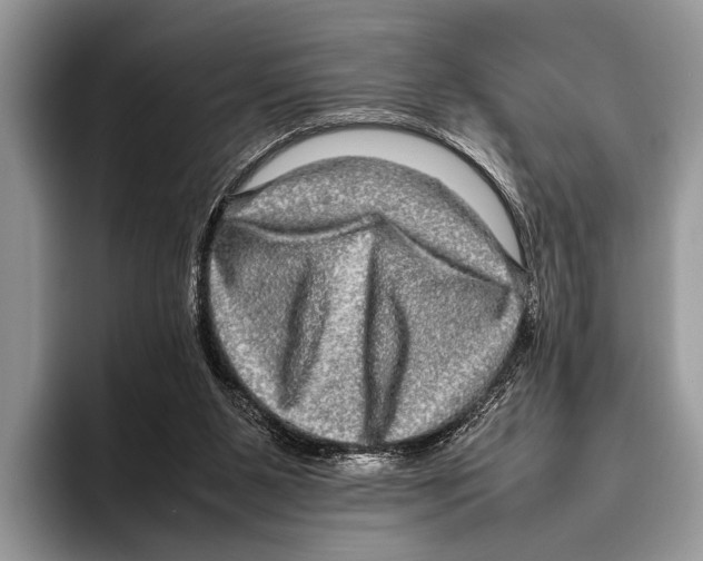 X0000095950111200802081305